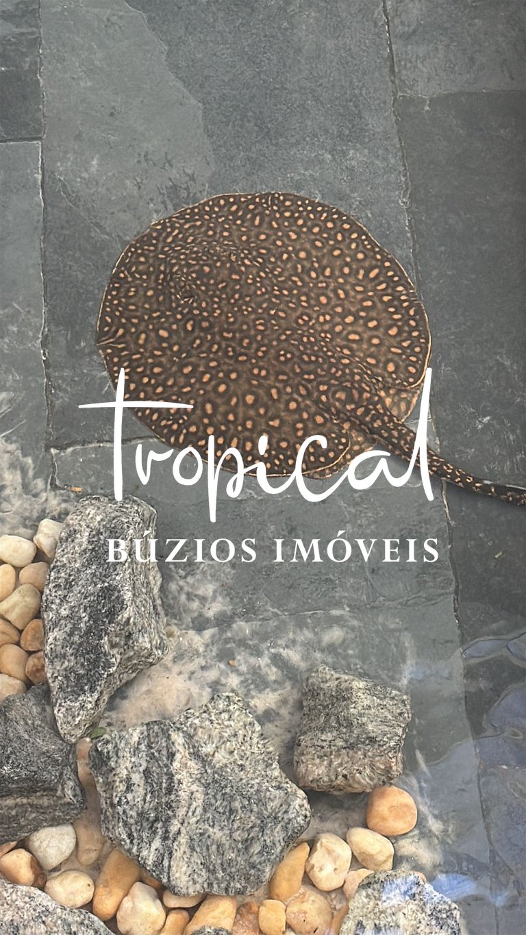 FA80 - Mansão Ferradura Maravilha Moderna