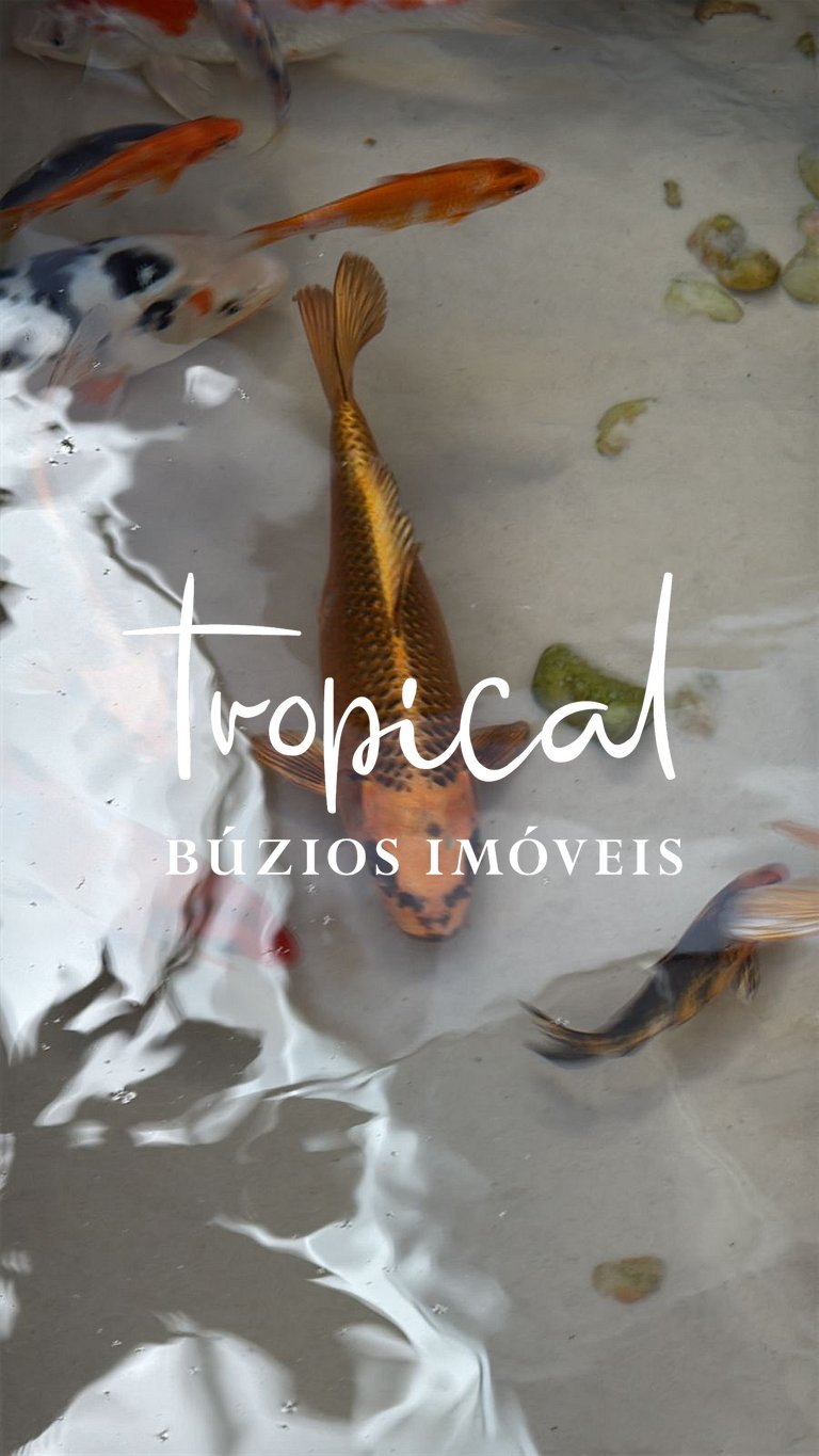 FA80 - Mansão Ferradura Maravilha Moderna