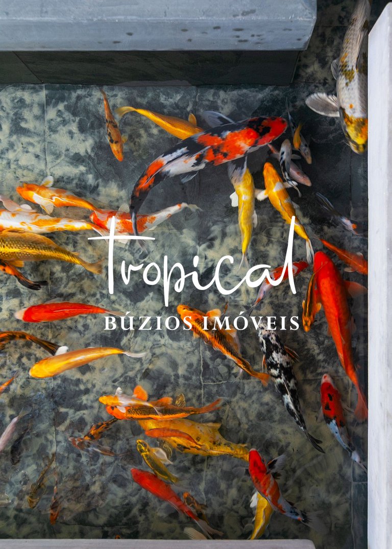 FA80 - Mansão Ferradura Maravilha Moderna